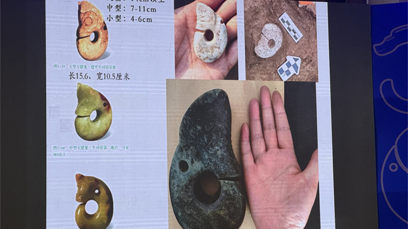 Maior drag?o de jade da cultura Hongshan é encontrado no norte da ChinaArqueólogos chineses desenterraram o maior drag?o de jade já descoberto da cultura Hongshan, uma parte importante da Era Neolítica, em uma tumba de pedra na cidade de Chifeng. 